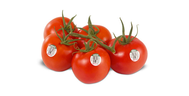 Tomatoes on the vine